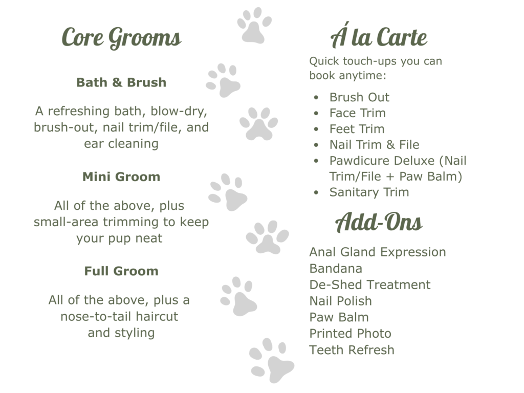 Home your paragraph text (2)